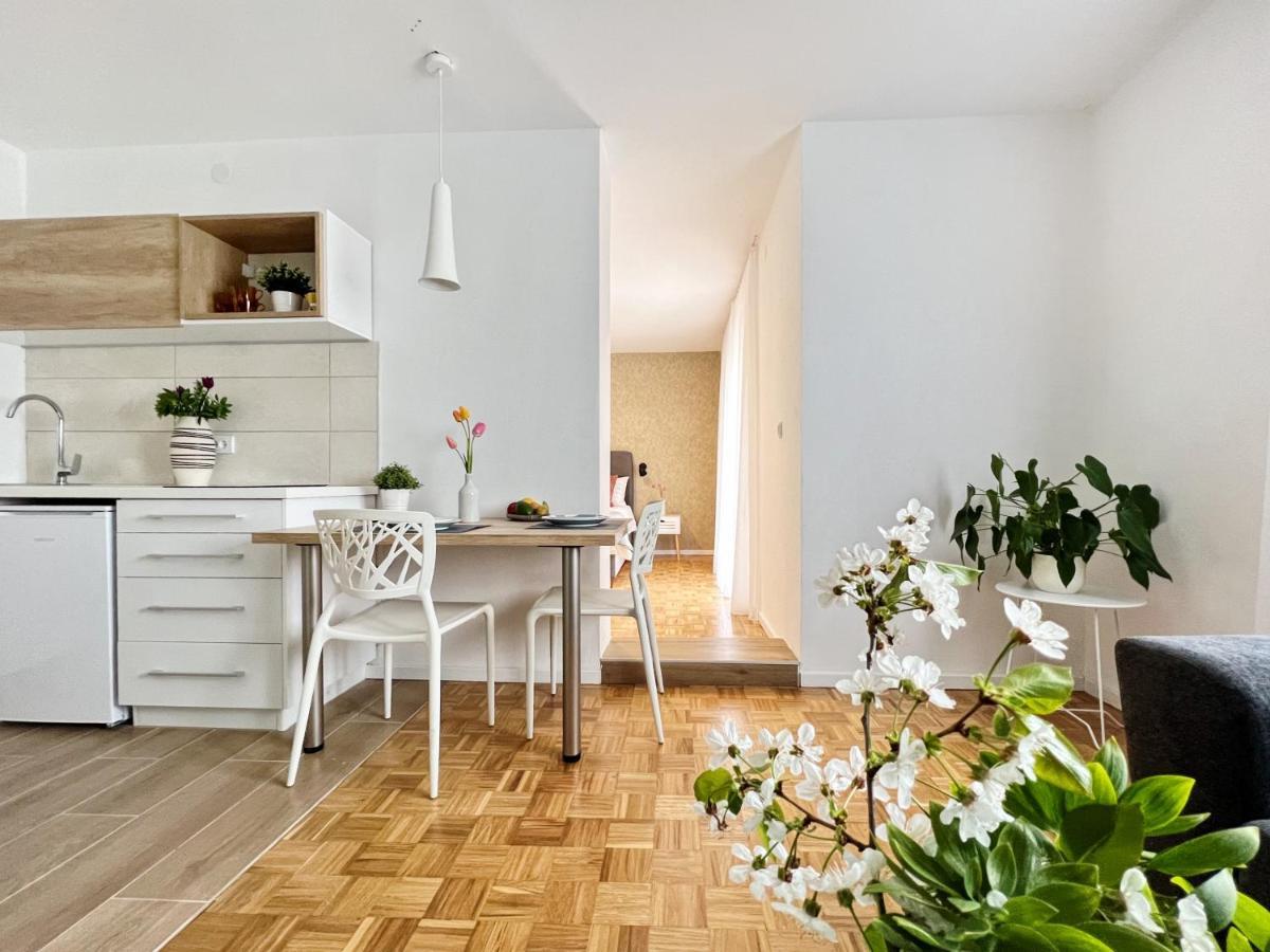 Apartments Valerian Novigrad Istria エクステリア 写真